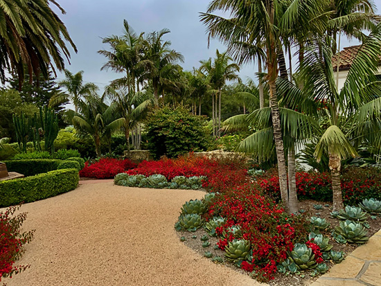 Pacific Green Landscape